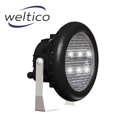 Projecteur submersible à LED Weltico