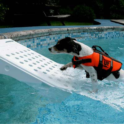 Rampe de sauvetage piscine pour animaux Skamper Ramp
Rampe de sauvetage piscine pour animaux Skamper Ramp