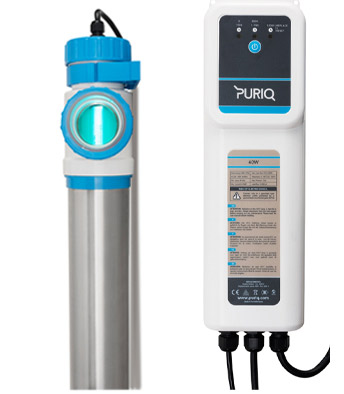 Puriq Bright Puriq Bright