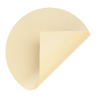 STARPOOL PREMIUM COLOR SABLE STARPOOL PREMIUM COLOR SABLE