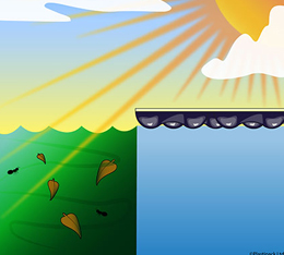 New Energy Guard bache piscine algues New Energy Guard bache piscine algues