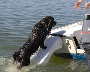 Bateau scamper ramp Bateau scamper ramp