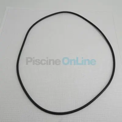 Joint Couvercle pour Filtre à sable mod.2000 12 Trous (1210486)