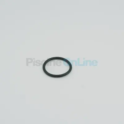 Joint raccord pompe Bering 0.50 à 1.00 CV - Remplace HZS370550NO6 (Astralpool) (48384R0006)