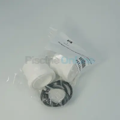 Raccord union filtre Posi-Clear RP (Sta-Rite) (178733Z)