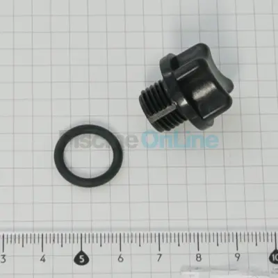 Bouchon de purge 1/4" + Joint 13x2,5 mm pour pompe ou vanne (4404121107)
