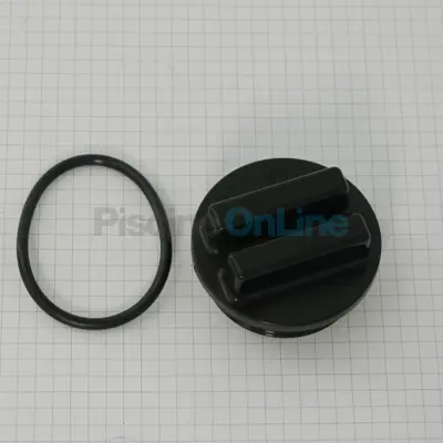 Bouchon de vidange 1"1/2 pour filtre à cartouche (HAYWARD) (SP1022CBLK)