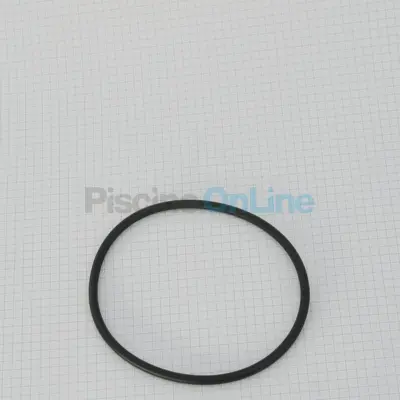 Joint torique de couvercle 105 x 5 mm pompe Picco (2921.641.210)