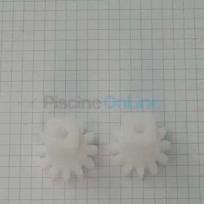 Pignons de brosse CN (x2) RE4400IQ (Zodiac) (R0896700)