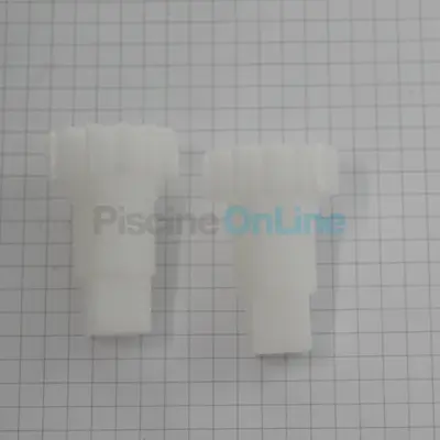 Pignons de brosse CN (x2) RE4400IQ (Zodiac) (R0896700)