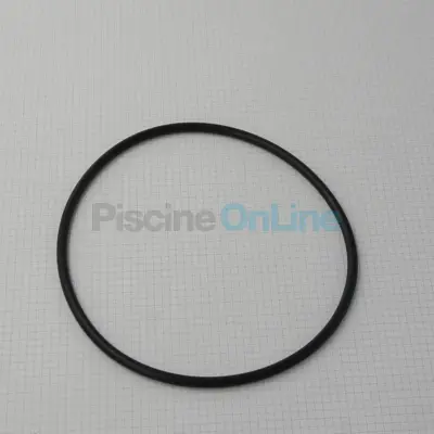 Joint Torique de vanne top (STA-RITE) (RU9369)