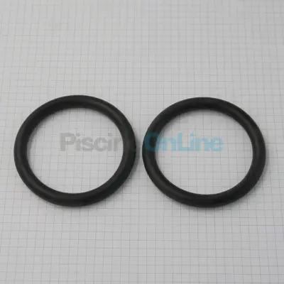 Joints toriques (x2) de traversée 2" pour Filtre Saturne diamètre 750, Aster D.60x8 (4404040115)