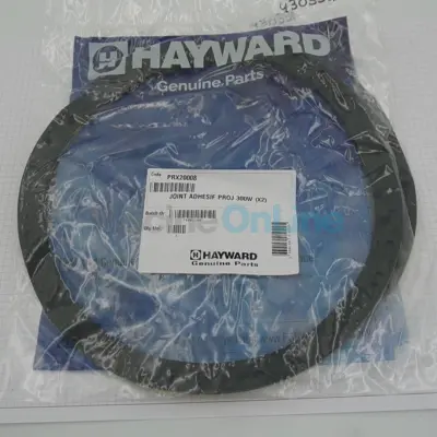 Joints de Bride projecteur incandescent 300W (x2) - COFIES (HAYWARD) (PRX20008)