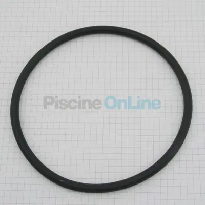Joint de couvercle de pompe BR 463/65E/Onga 800/Swimmey/Atlas/Nocchi - 146 mm (STA-RITE) (R702208)