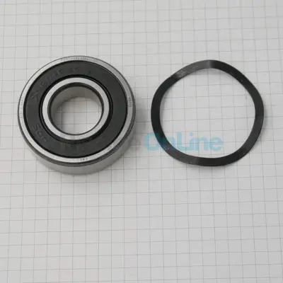 Roulements (x2) 6204 AV/AR pompe Victoria 2 à 3 CV - avec Rondelle (ASTRAL) (4405010136)