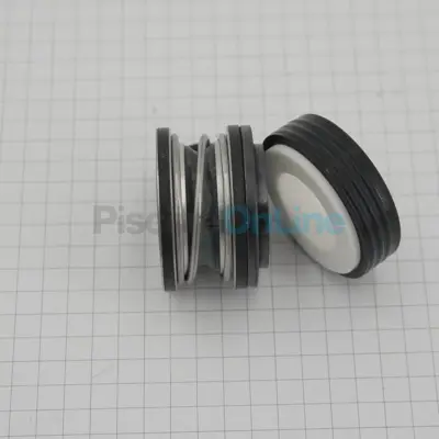 Garniture Mécanique pour pompe 5P2R/S5P2R (STA-RITE) (R173040100S)