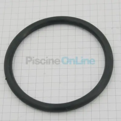Joint de diffuseur pour pompe RS II DI (SPX4000Z1DI)