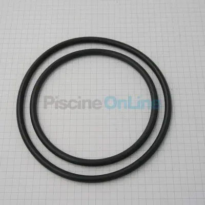 Joint de Soupape pour FILTRE DE Pro Grid (DEX2420Z8A)