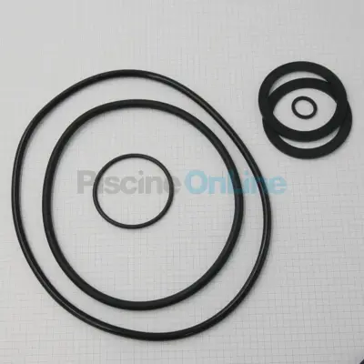 Kit de joints pour pompe Victoria Plus Silent (4405010860)