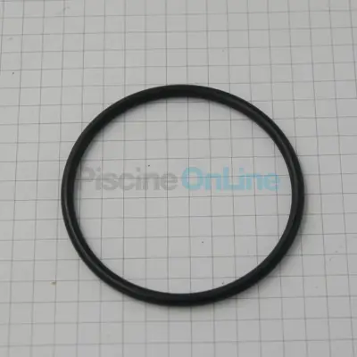 Joint torique de diffuseur 50 x 3 mm pompe 40/7 40/11 (2920.141.252)