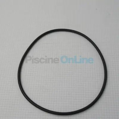 Joint de Corps pompe Pinnacle/Superflo 42.192 (PENTAIR) (R355619)