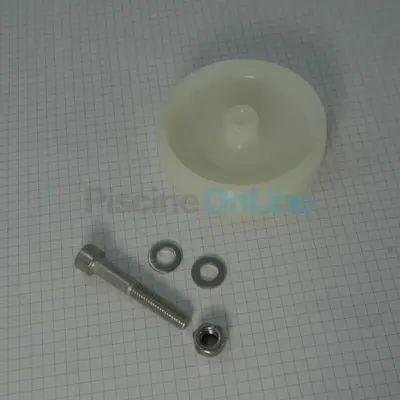Roue Nylon D80x22 Blanche Wellfit Bike (4401110002)