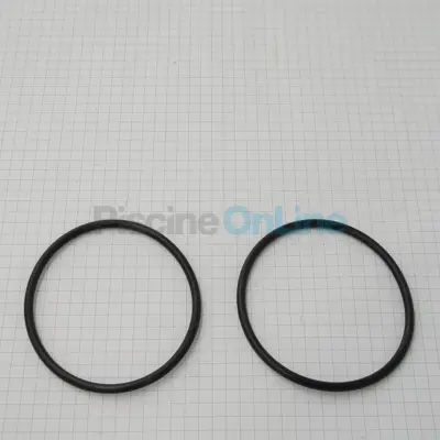 Kit joints raccord union (x2) (ZODIAC) (R0728800)