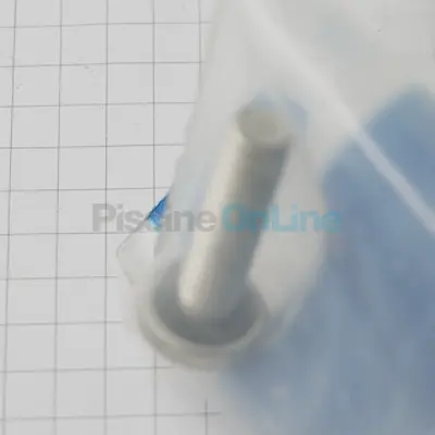 Vis de turbine (+ joint) (ZODIAC) (R0515400)
