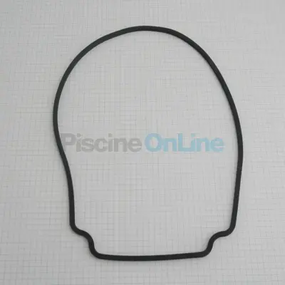 Joint de corps pompe Viron P300/P320/P600 (4405010444)