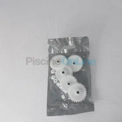 Ensemble Engrenage Net Clean D50-63 (Astral) (4406010028)