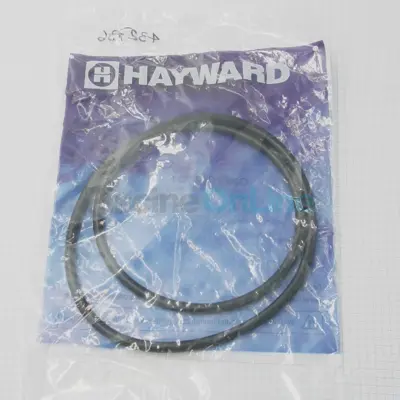 Joint torique pour corps de filtre Swimclear Mono (CXFHR1001)