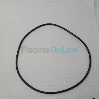 Joint torique pour corps de filtre Swimclear Mono (CXFHR1001)