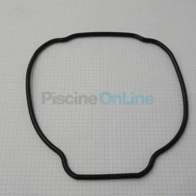 Joint de corps pour pompe TriStar (SPX3200T)