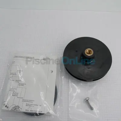 Turbine pour pompe FloPro VS 160 + vis + joint (R0479603)