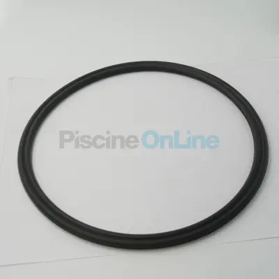 Joints de couvercle pour Filtre à sable bobiné (x2) (500361000302)