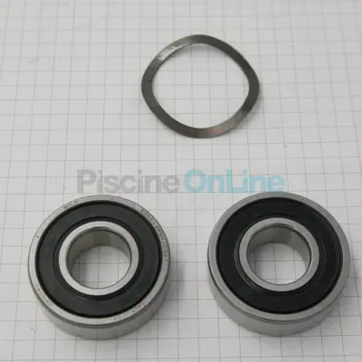 Roulement de moteur type 6202 pompes America, Hermes, New Mini Pump, Europa, Discovery, Niagara, New Europa (4405010050)