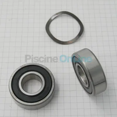 Roulement de moteur type 6202 pompes America, Hermes, New Mini Pump, Europa, Discovery, Niagara, New Europa (4405010050)