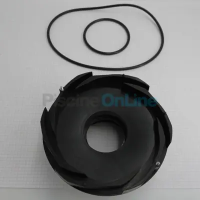 Diffuseur pour pompe FloPro VS 160 + vis + joints (R0479701)