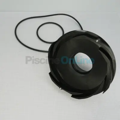 Diffuseur pour pompe FloPro VS 160 + vis + joints (R0479701)