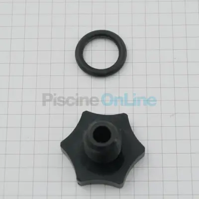 Bouchon de purge et joint pour Filtre à sable Vesubio, Aster (4404040113)