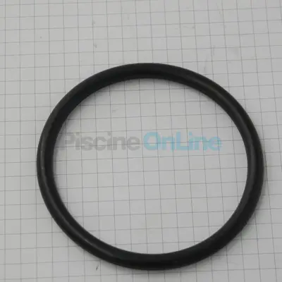Joint torique commun de traversée de filtres et pour diffuseur de pompe Max Flo 2 (SX0220Z2)