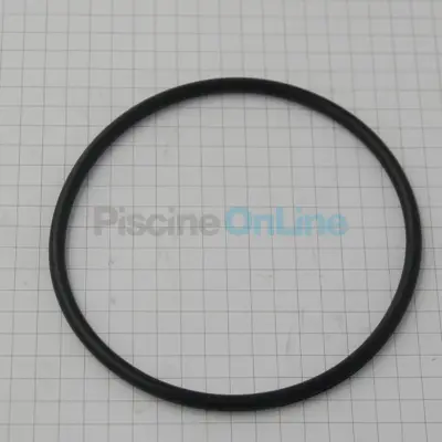 Joint diffuseur pour pompes PENTAIR Challenger / Superflo (R355331)