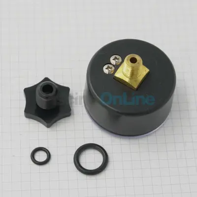 Manomètre 1/8" + Purge d'air pour filtres à sable Vesubio 2011, Filtre PRO-ADAPT, CLARI-PRO Filtre VESUBIO couvercle à visser Filtre VOLCANO couvercle à visser (4404260203)