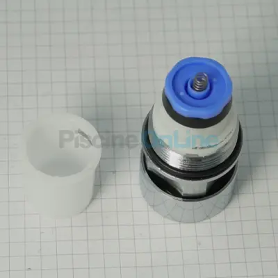 Bouton poussoir temporisé inox pour douche ASTRAL (4401040239)