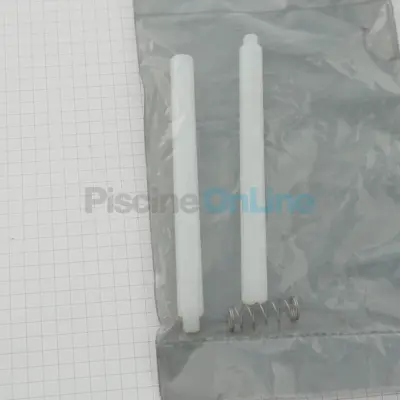 Axe de volet skimmer inox avec ressort (nouveau modèle) (4402011409)