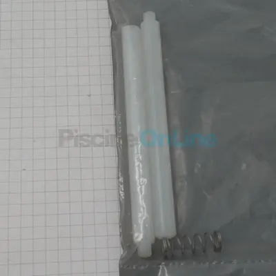 Axe de volet skimmer inox avec ressort (nouveau modèle) (4402011409)