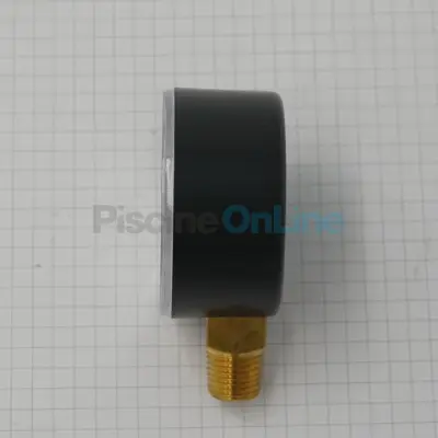 Manomètre 1/4" pour filtres à sable SNTE diamètre 50 GALATIC Top, JUPITER Side et T16, VEYRONE Side, GALATIC Side, JUPITER T J6 (CE04010015)