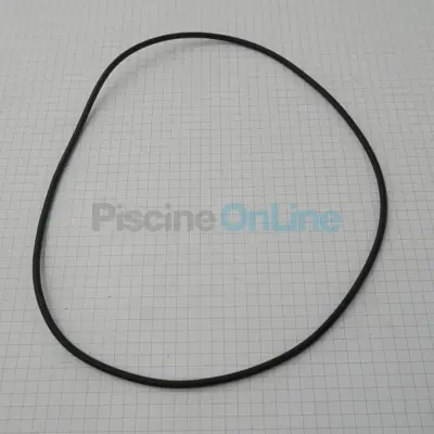 Joint de corps 170,7x3,3 mm pompe Astral CALA (4405010827)