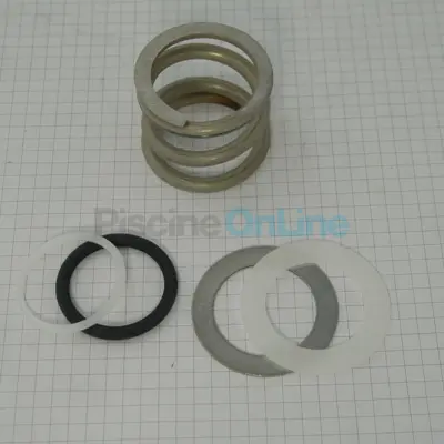 Ressort pour vanne 1''1/2 ASTRAL + joint + rondelles (nouveau modèle) (4404121103)