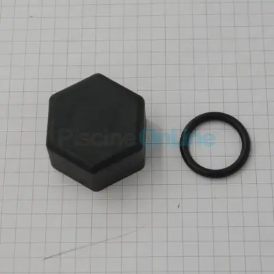 Capuchon de fermeture + joint pour électrolyseur ASTRAL (4408060121)